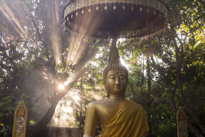 Statue of buddha against trees