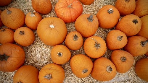 High angle view of pumpkins in market