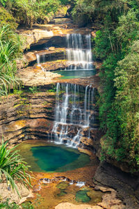 Scenic view of waterfall in forest