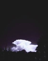 Silhouette trees against sky at night