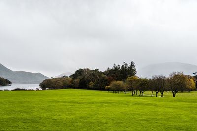 Scenic view of field by lake