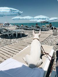 People relaxing on chair by sea against sky