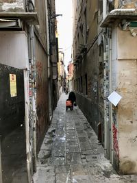 Narrow alley amidst buildings in city