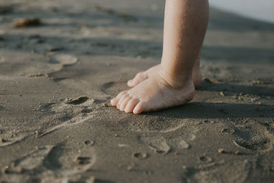 Low section of kid on wet shore at beach