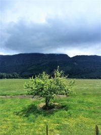 Scenic view of field against cloudy sky