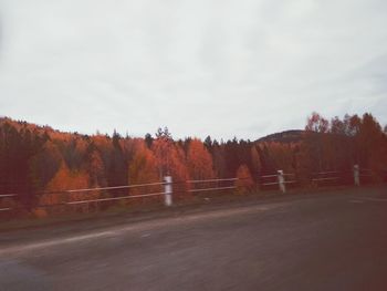 Road by trees against sky