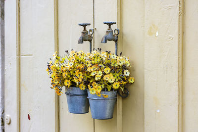 Close-up of potted plant with flowers against white wall