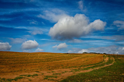 Scenic view of field against sky