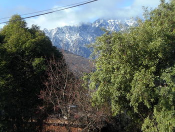 Scenic view of landscape with mountain in background