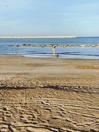 People on beach against sky