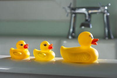 Close-up of yellow rubber ducks on bathtub in bathroom