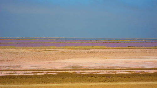 Scenic view of sandy beach