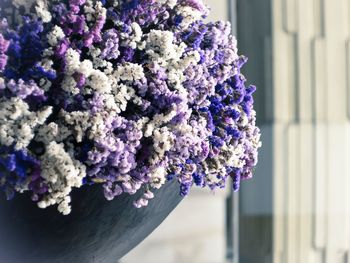 Close-up of purple flowers