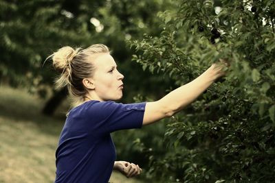 Side view of young woman picking fruits from tree at farm