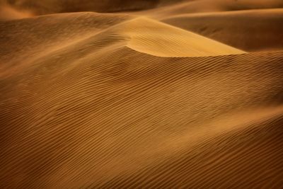 Full frame shot of sand dune