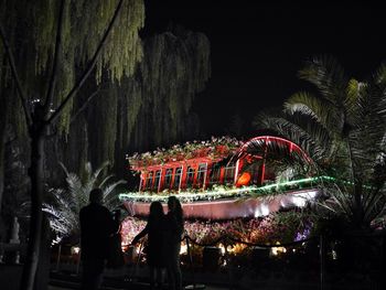 Illuminated trees at night