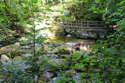 Footbridge over river with trees in background