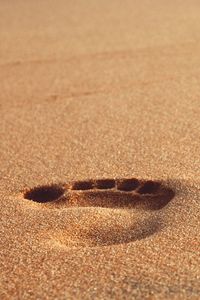 Surface level of beach