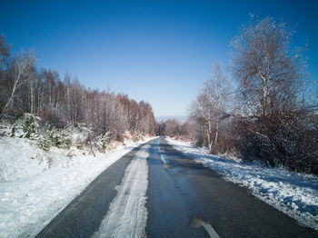 Empty road along trees during winter