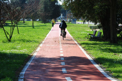 Rear view of man riding bicycle on grassland