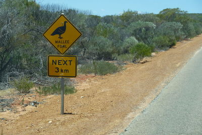 Information sign on road by trees