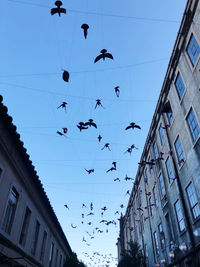 Low angle view of birds flying in sky