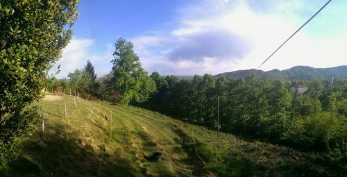 Scenic view of landscape against sky