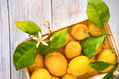 Close-up of fruits and leaves on wood