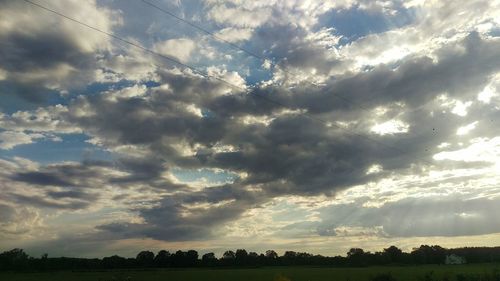 Low angle view of trees against sky during sunset