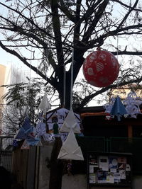 Decoration hanging on tree against building