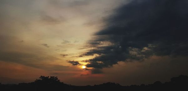 Low angle view of silhouette trees against sky during sunset