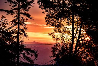 Silhouette trees by sea against romantic sky at sunset