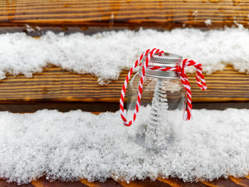 Close-up of christmas tree