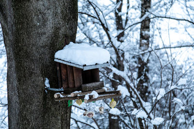 High angle view of birdhouse on tree trunk during winter