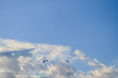 Low angle view of birds flying in sky