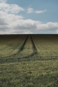 Scenic view of field against sky