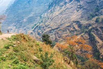 Scenic view of mountain range