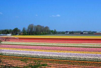 Colorful lights on field against blue sky