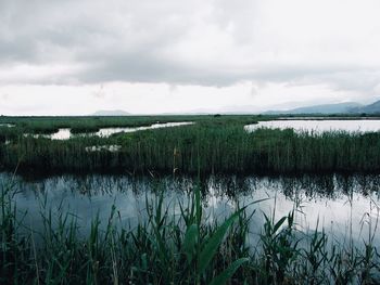 Scenic view of lake against sky