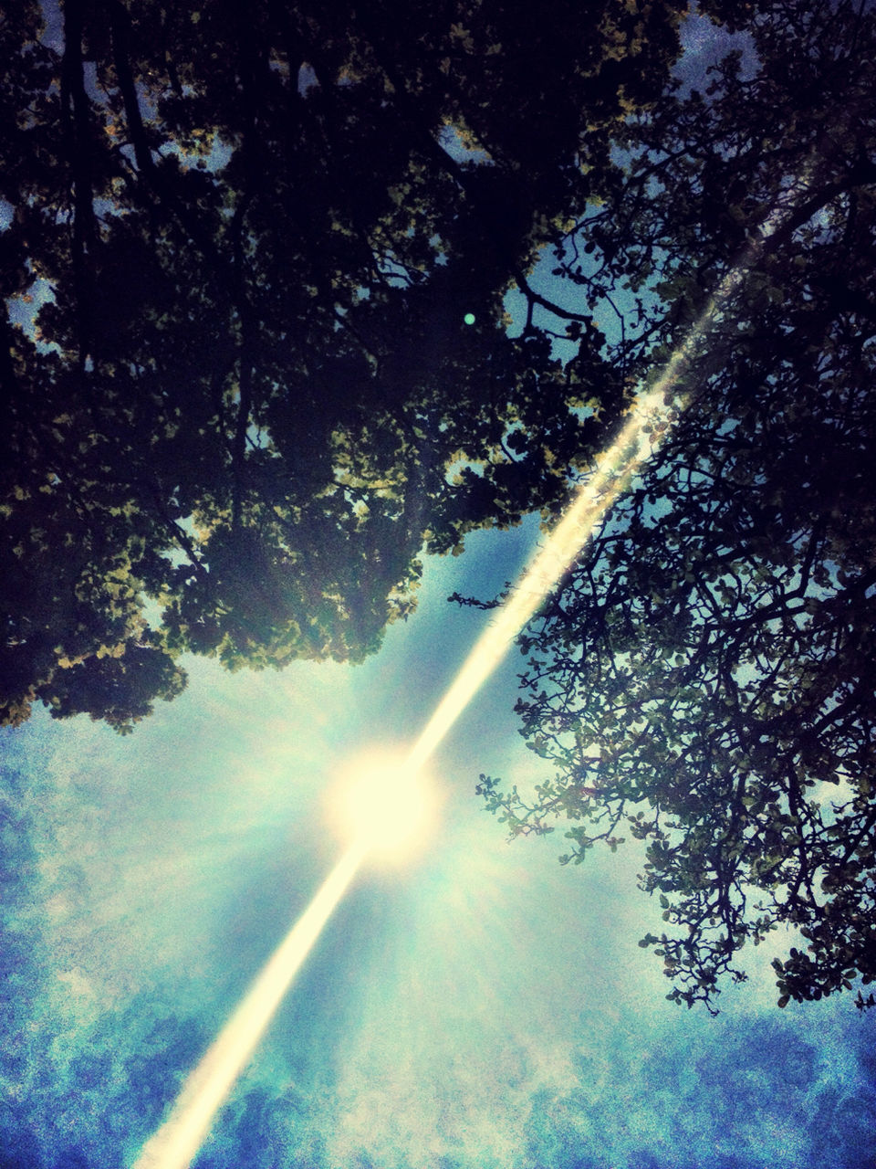 sunbeam, tree, sun, sunlight, tranquility, lens flare, beauty in nature, low angle view, nature, scenics, tranquil scene, growth, bright, forest, sky, sunny, branch, idyllic, day, outdoors