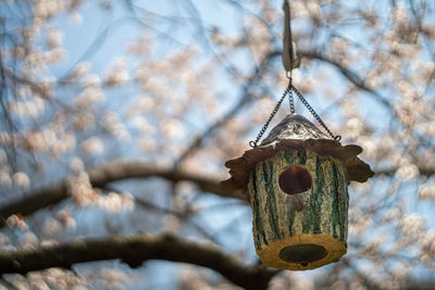 Bird house hanging from a tree