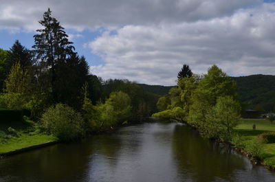 Scenic view of river amidst trees in forest against sky