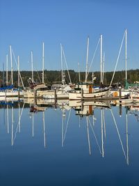 Sailboats moored in harbor against clear blue sky