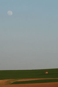 Scenic view of field against clear sky