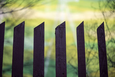 Brown wooden fence against bare trees