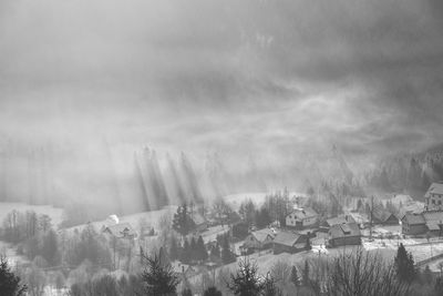 B a w photo of sunrise over the polish village of koniakow with forest through which the sun rays