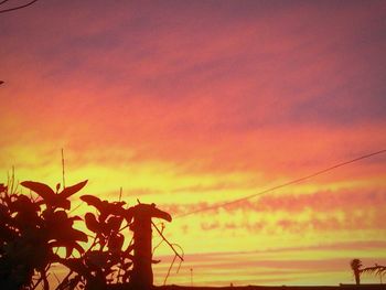 Silhouette tree against sky during sunset