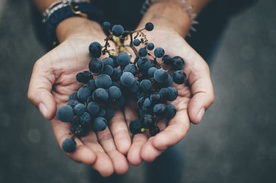 Cropped image of person holding grapes