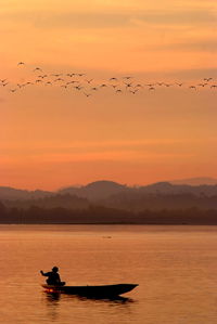 Silhouette man on boat in river against birds flying at sunset