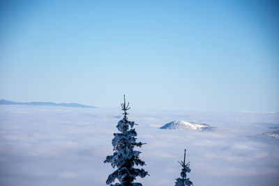 Low angle view of snowcapped mountain against sky